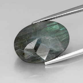 Labradorite multicolore naturelle coupe ovale, 12,25 ct, opaque