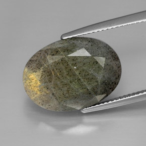 Labradorite multicolore naturelle coupe ovale, 13,58 ct, opaque