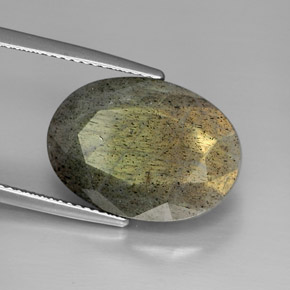 Labradorite multicolore naturelle coupe ovale, 13,58 ct, opaque