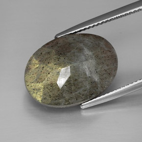Labradorite multicolore naturelle coupe ovale, 13,58 ct, opaque