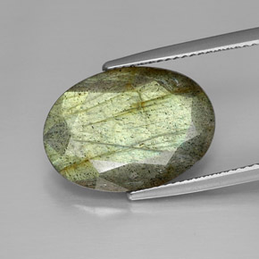 Labradorite Multicolore naturelle Coupe ovale, 9.85 ct, Opaque