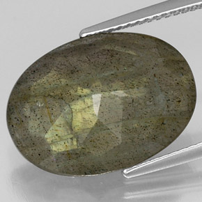 Labradorite multicolore naturelle coupe ovale, 10,74 ct, opaque