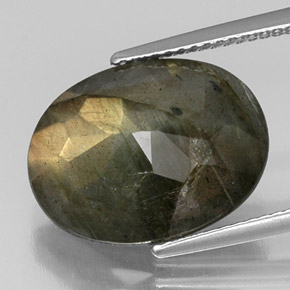 Labradorite multicolore naturelle coupe ovale, 8,66 ct, opaque