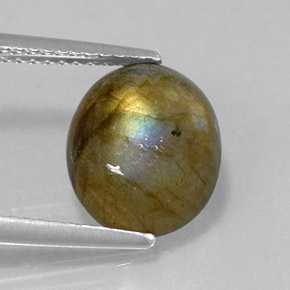 Labradorite multicolore naturelle coupe ovale, 3,60 ct, opaque