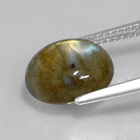 Labradorite multicolore naturelle coupe ovale, 3,60 ct, opaque