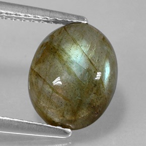 Labradorite multicolore naturelle coupe ovale, 2,81 ct, opaque