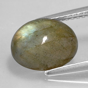 Labradorite multicolore naturelle coupe ovale, 3,59 ct, opaque