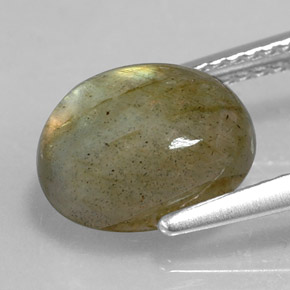 Labradorite multicolore naturelle coupe ovale, 3,59 ct, opaque