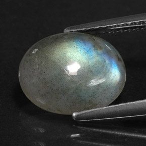Labradorite multicolore naturelle transparent, 2,99 ct, transparent / translucide