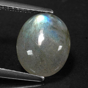 Labradorite multicolore naturelle transparent, 2,99 ct, transparent / translucide