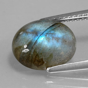 Labradorite Multicolore naturelle Transparent, 3.28 ct, Transparent / Translucide