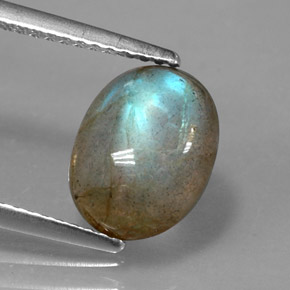 Labradorite Multicolore naturelle Transparent, 2.76 ct, Transparent / Translucide