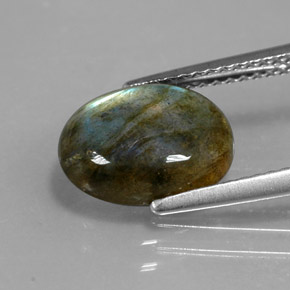 Labradorite multicolore naturelle transparent, 2,89 ct, transparent / translucide