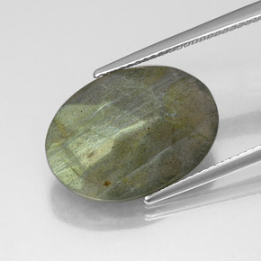 Labradorite multicolore naturelle coupe ovale, 10,39 ct, translucide