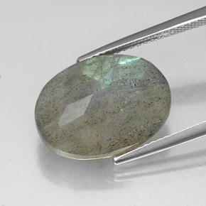 Labradorite multicolore naturelle coupe ovale, 10,11 ct, translucide