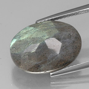 Labradorite multicolore naturelle coupe ovale, 10,02 ct, translucide