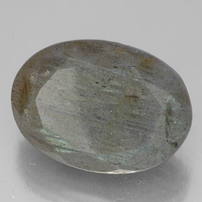 Labradorite multicolore naturelle coupe ovale, 13,83 ct, translucide