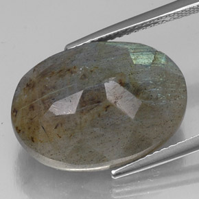 Labradorite multicolore naturelle coupe ovale, 13,83 ct, translucide