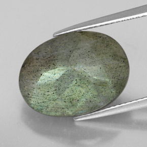 Labradorite multicolore naturelle coupe ovale, 10,81 ct, translucide