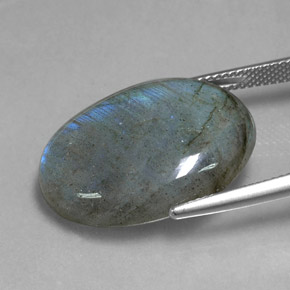 Labradorite multicolore naturelle coupe ovale, 20,80 ct, translucide