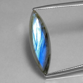 Labradorite multicolore naturelle marquise, 8,91 ct, translucide