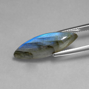 Labradorite multicolore naturelle marquise, 8,91 ct, translucide