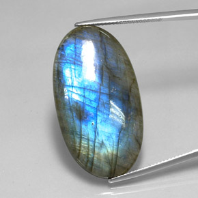 Labradorite multicolore naturelle coupe ovale, 32,75 ct, translucide