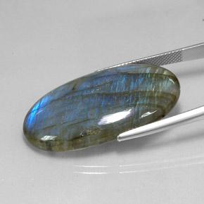 Labradorite multicolore naturelle coupe ovale, 32,75 ct, translucide