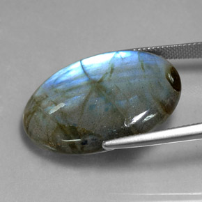 Labradorite multicolore naturelle coupe ovale, 28,90 ct, translucide