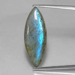 Labradorite multicolore naturelle marquise, 10,15 ct, translucide