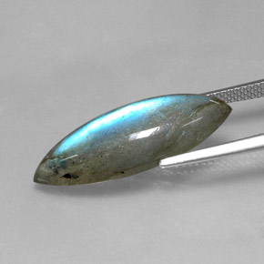 Labradorite multicolore naturelle marquise, 9,18 ct, translucide