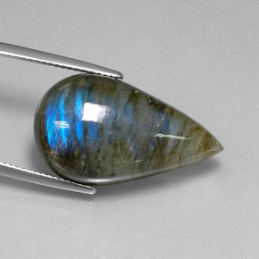 Labradorite Multicolore naturelle En forme de poire, 21.56 ct, Translucide