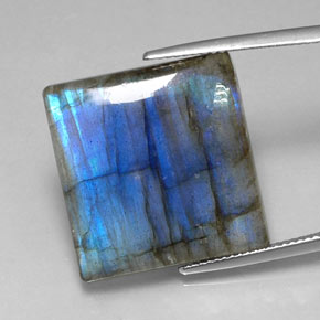 Labradorite multicolore naturelle carré, 26,58 ct, translucide