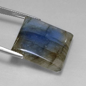 Labradorite multicolore naturelle carré, 26,58 ct, translucide