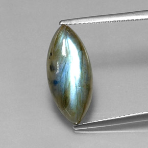 Labradorite multicolore naturelle marquise, 6,58 ct, translucide