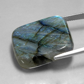 Labradorite Multicolore naturelle Coupe coussin, 45.02 ct, Translucide