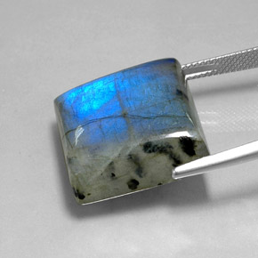 Labradorite Multicolore naturelle Carré, 36.07 ct, Translucide