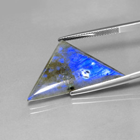 Labradorite Multicolore naturelle Trillion, 16.19 ct, Translucide