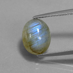 Labradorite multicolore naturelle coupe ovale, 2,62 ct, translucide