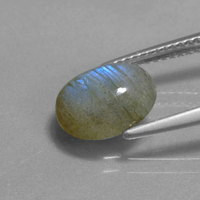 Labradorite multicolore naturelle coupe ovale, 2,62 ct, translucide