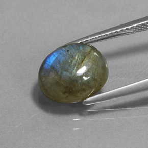 Labradorite Multicolore naturelle Coupe ovale, 3.93 ct, Translucide