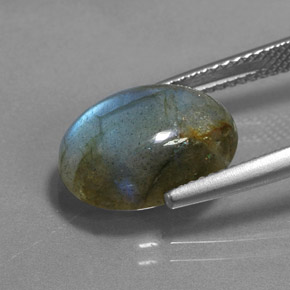 Labradorite Multicolore naturelle Coupe ovale, 6.39 ct, Translucide