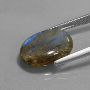 Labradorite multicolore naturelle coupe ovale, 6,83 ct, translucide
