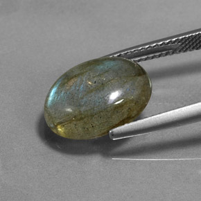 Labradorite Multicolore naturelle Coupe ovale, 5.51 ct, Translucide