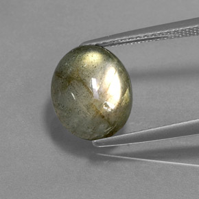 Labradorite multicolore naturelle coupe ovale, 3,78 ct, translucide