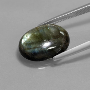 Labradorite multicolore naturelle coupe ovale, 7,29 ct, opaque
