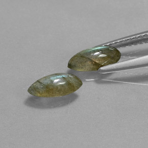 Achetez naturel ct multicolore labradorite gems, marquise, en provenance madagascar chez gemselect. en stock, livraison internationale!