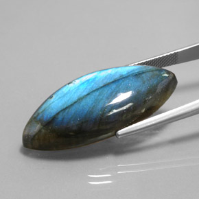 Labradorite multicolore naturelle marquise, 28,88 ct, translucide