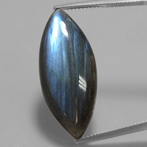 Labradorite multicolore naturelle marquise, 19,29 ct, translucide