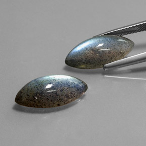 Achetez naturel ct Multicolore Labradorite gems, Transparent, En provenance Madagascar chez GemSelect. En stock, livraison internationale!